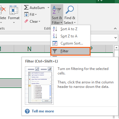 Insert a filter in Excel